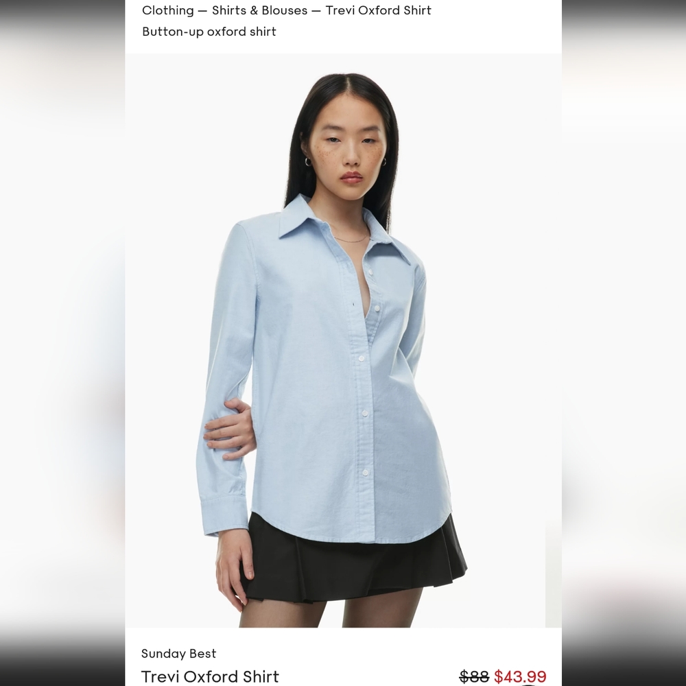 Aritzia Trevi Oxford Button up Shirt